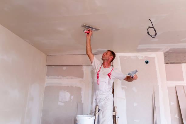 Best Drywall Removal and Disposal  in Arvin, CA